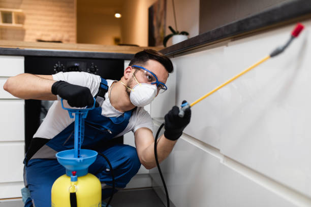 Best Pest Control Near Me  in Echelon, NJ