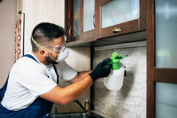 Best Best Pest Control Companies  in Echelon, NJ