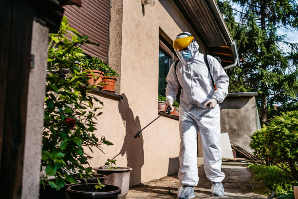 Best Pest Prevention Services  in Echelon, NJ