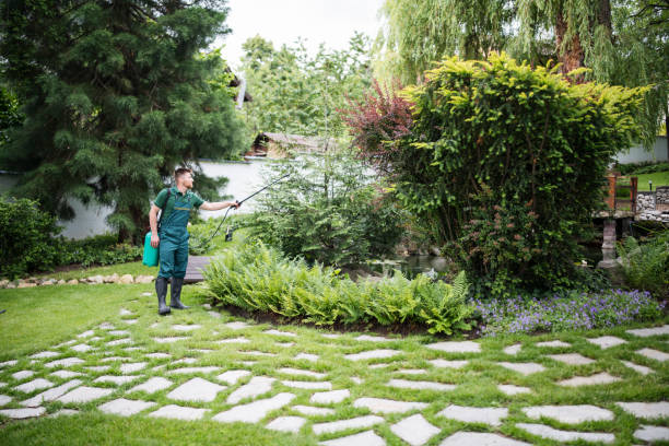 Best Pest Inspection Near Me  in Echelon, NJ
