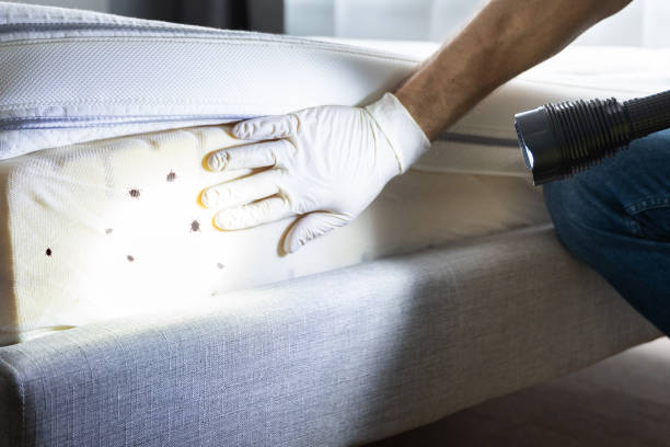 Best Commercial Pest Control Services  in Echelon, NJ