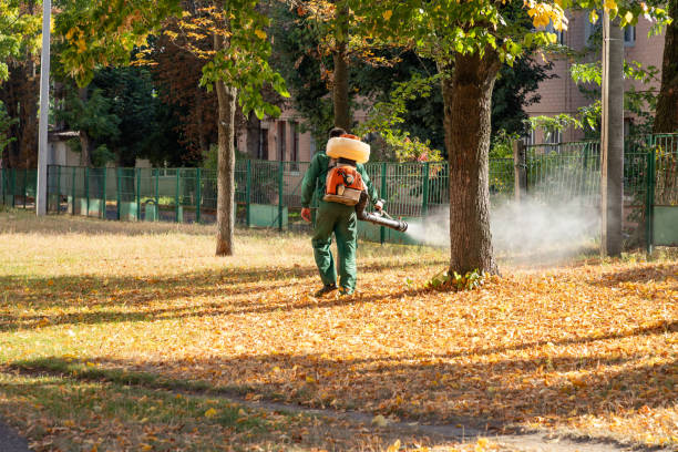 Best Bird Control  in Echelon, NJ