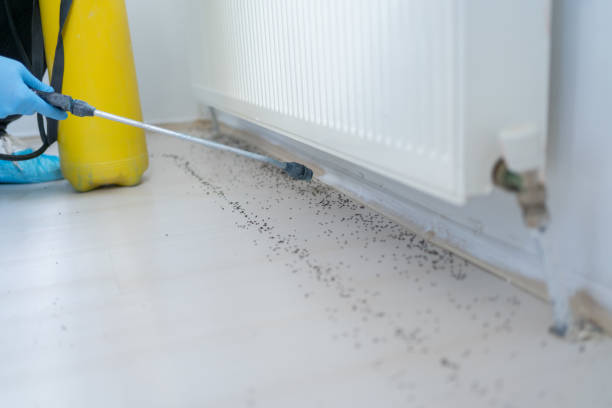 Best Best Pest Control Companies  in Echelon, NJ