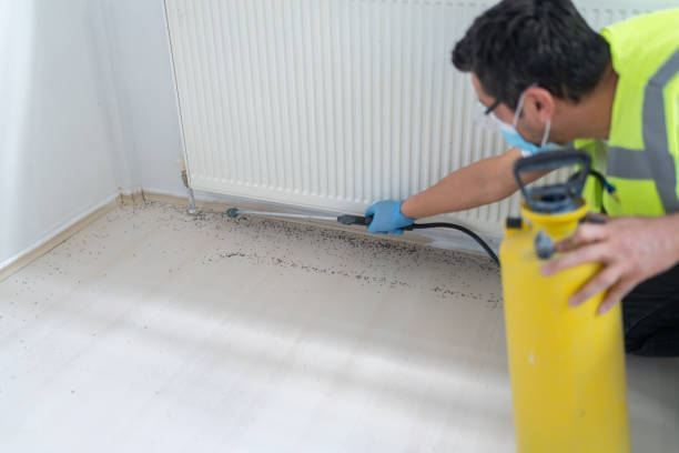 Best Mosquito Control Services  in Echelon, NJ